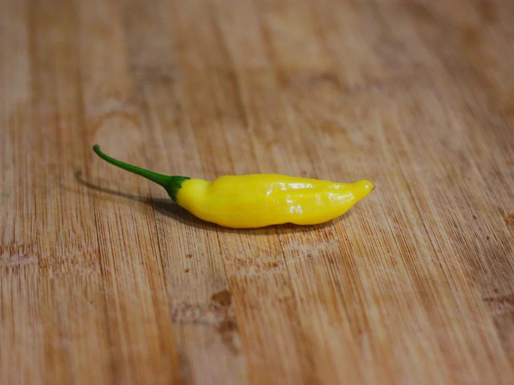 Aji Lemon Pepper Seeds: Citrusy Peruvian Peppers with a Kick