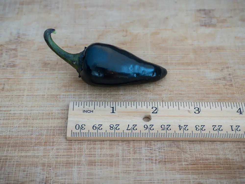 Black Hungarian Pepper Seeds: Uncover the Dual Charm