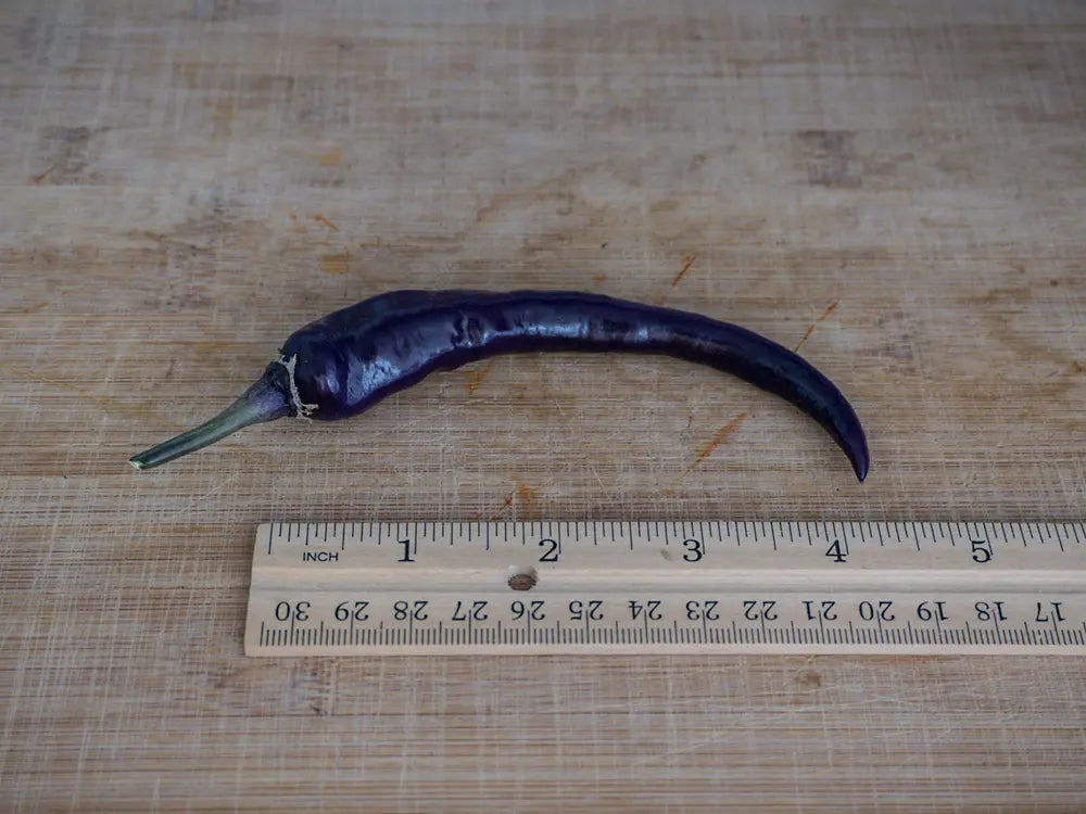 Buena Mulata Pepper Seeds: A Colorful Culinary Adventure