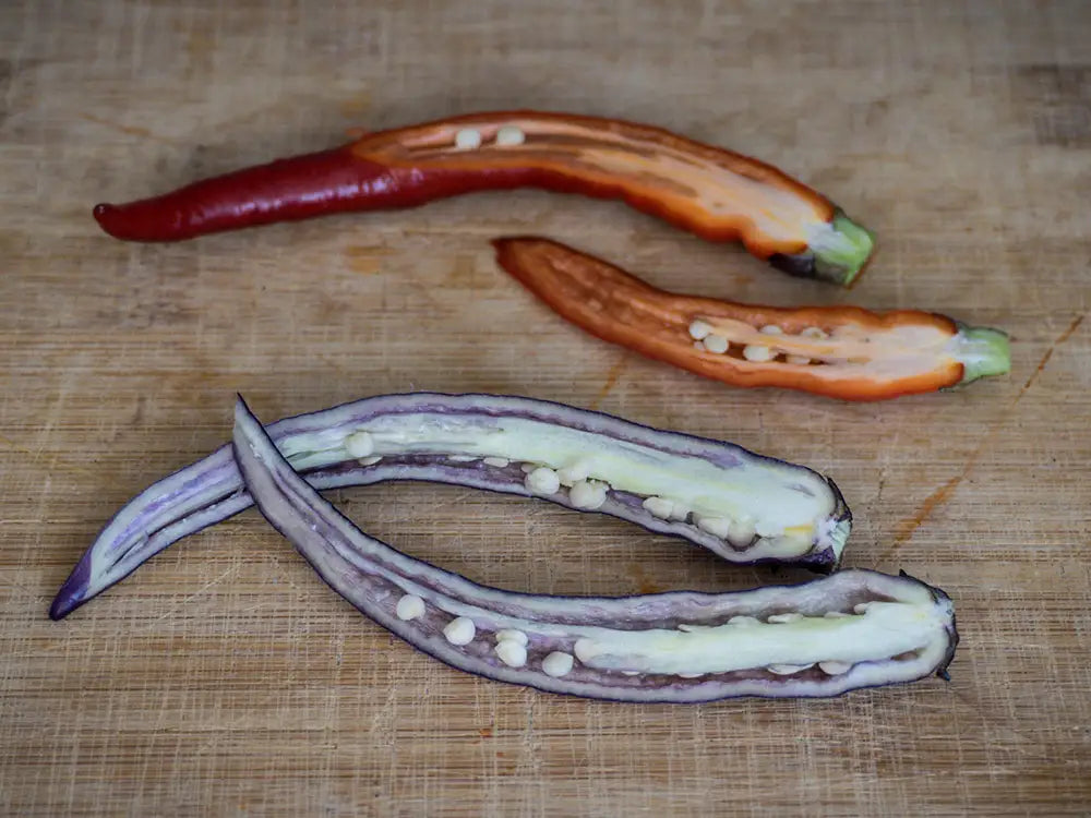 Buena Mulata Pepper Seeds: A Colorful Culinary Adventure