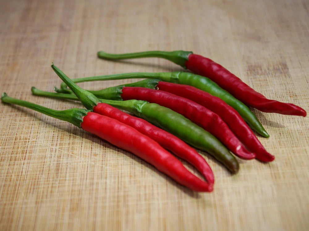 Santaka Chili Pepper Seeds: From Garden Patch to Spicy Dish