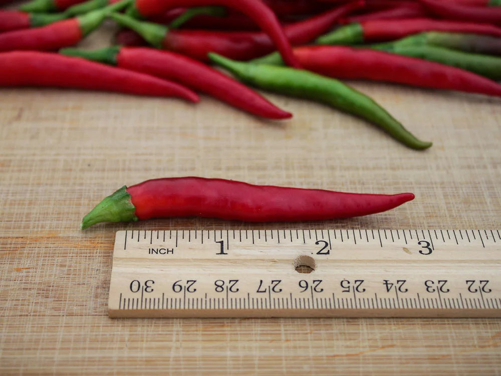 Yatsufusa Pepper Seeds: A Fiery Journey from Green to Red