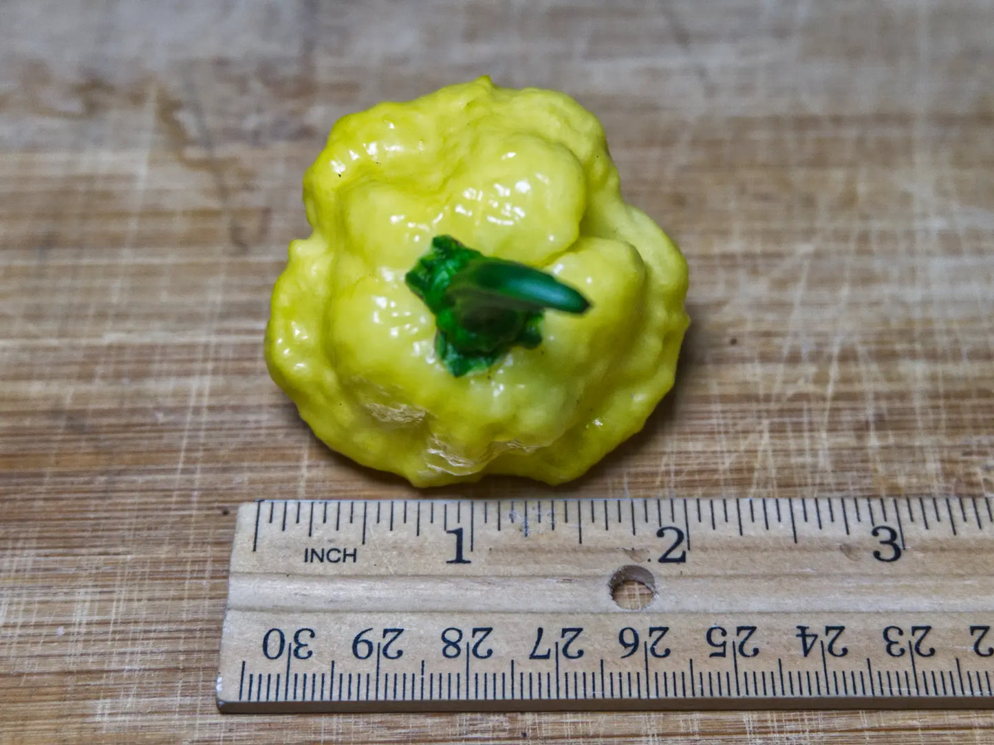 KSLS (Kang Star Lemon Starburst) Pepper Seeds - Rare Superhot Variety