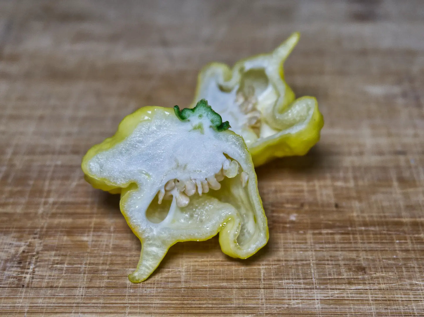 KSLS (Kang Star Lemon Starburst) Pepper Seeds - Rare Superhot Variety
