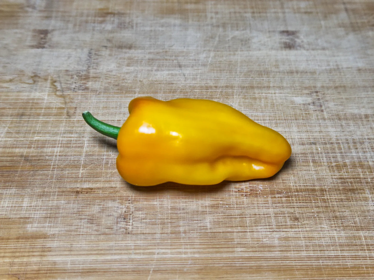 Petit Marseillais Pepper Seeds: A Taste of the French Sun