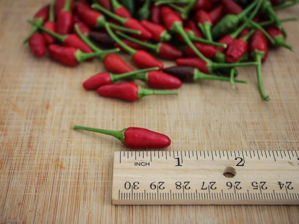 Bird’s Eye Pepper Seeds: Sizzling Flavor to Heat Up Your Recipes