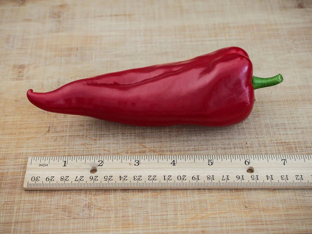 Chervena Chushka Pepper Seeds: Grow Tasty, Sweet Peppers