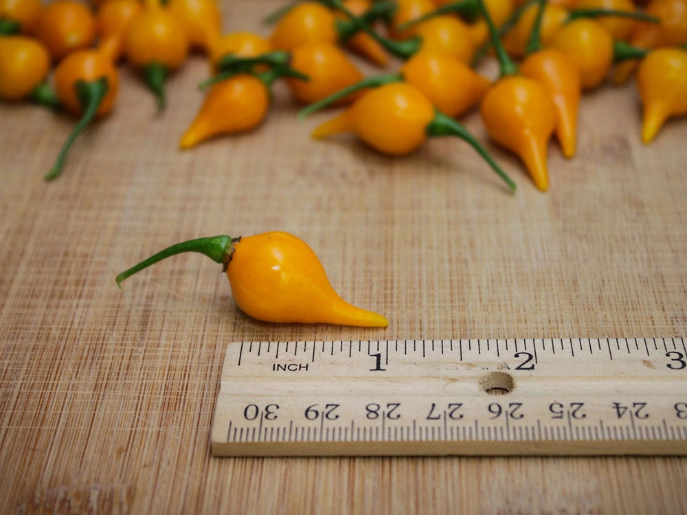 Yellow Biquinho Pepper Seeds: Sweet & Mild Brazilian Chili
