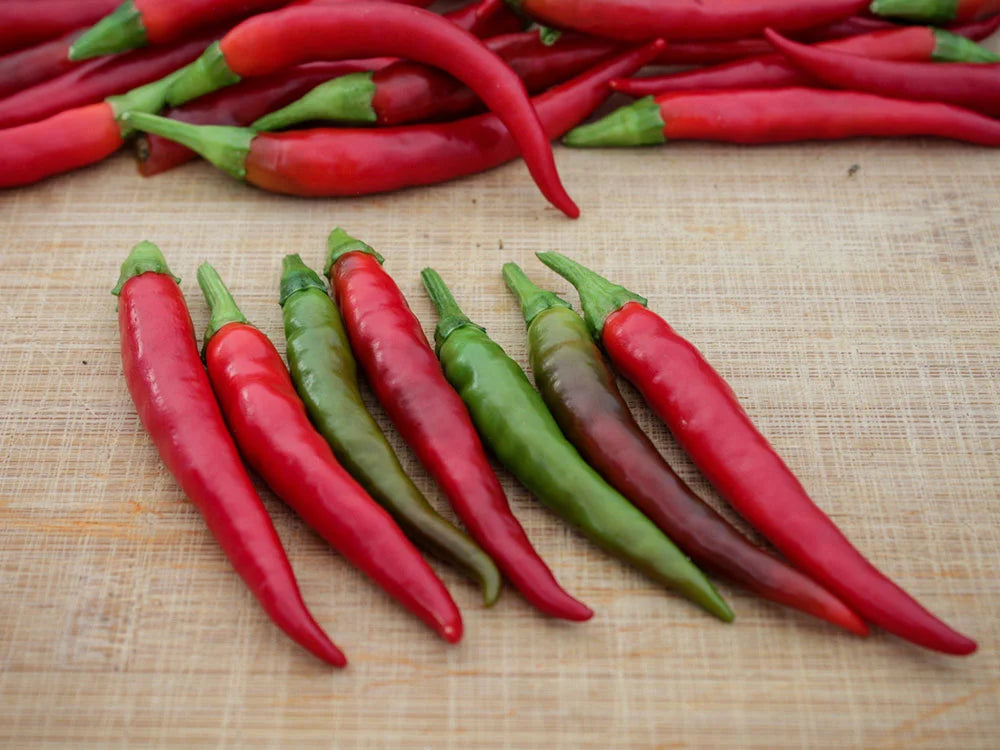 Yatsufusa Pepper Seeds: A Fiery Journey from Green to Red
