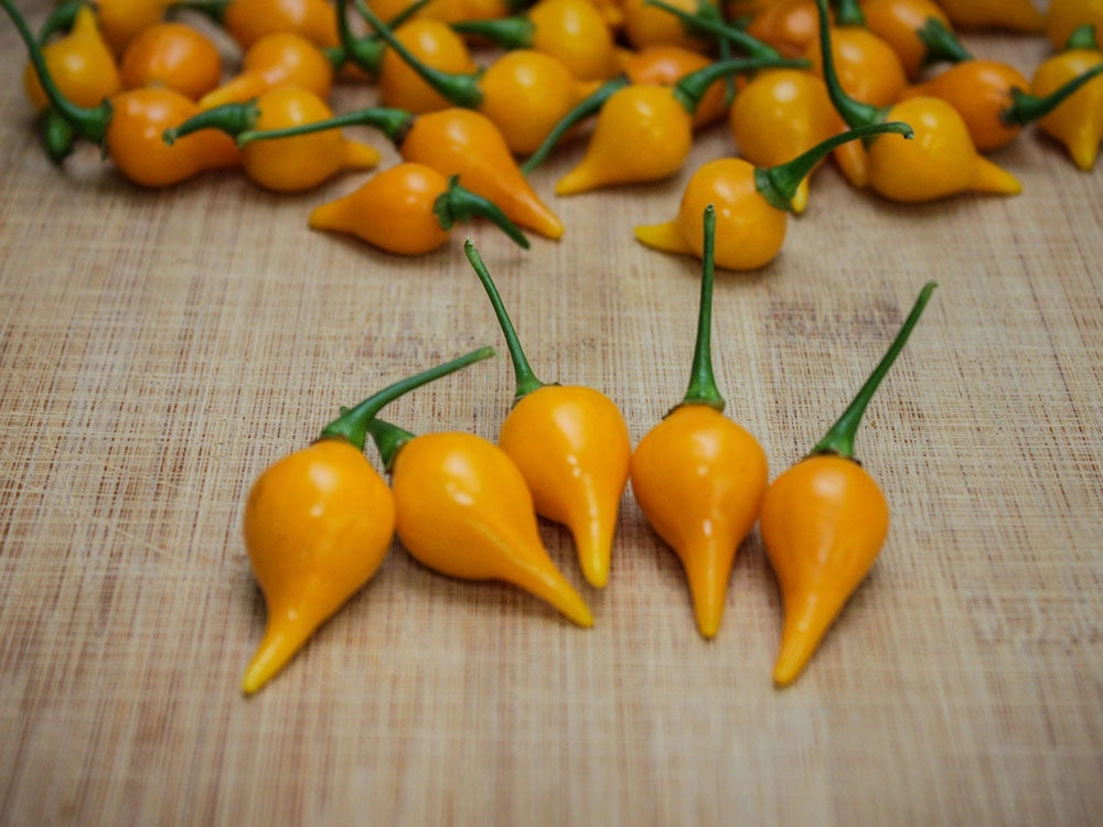 Yellow Biquinho Pepper Seeds: Sweet & Mild Brazilian Chili
