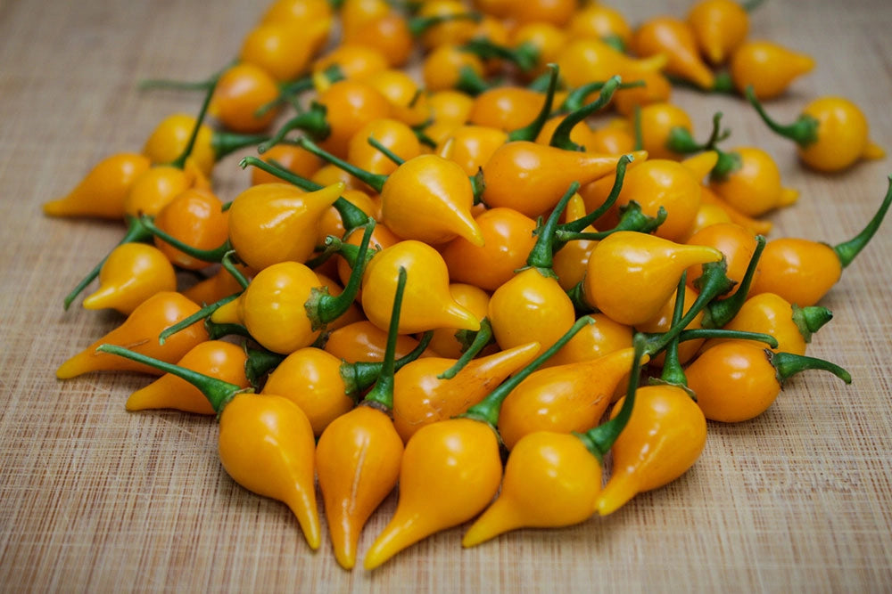 Yellow Biquinho Pepper Seeds: Sweet & Mild Brazilian Chili