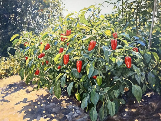 Choosing the Perfect Spot for Your Pepper Garden