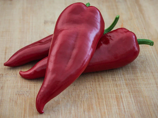 Chervena Chushka: The Sweet Bulgarian Heirloom Your Garden Needs