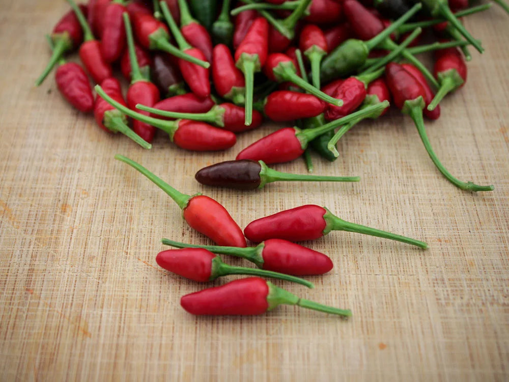 Bird’s Eye Pepper Seeds: Sizzling Flavor to Heat Up Your Recipes