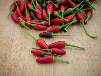 Bird’s Eye Pepper Seeds: Sizzling Flavor to Heat Up Your Recipes