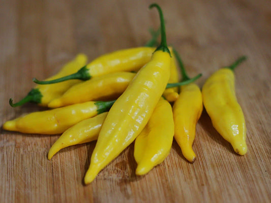 Aji Lemon Pepper Seeds: Citrusy Peruvian Peppers with a Kick