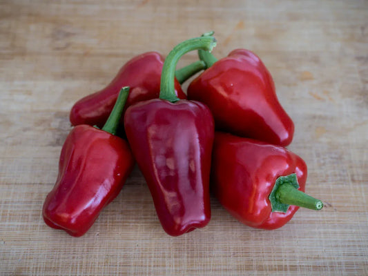 Aleppo 37 Pepper Seeds: Discover Middle Eastern Flavors