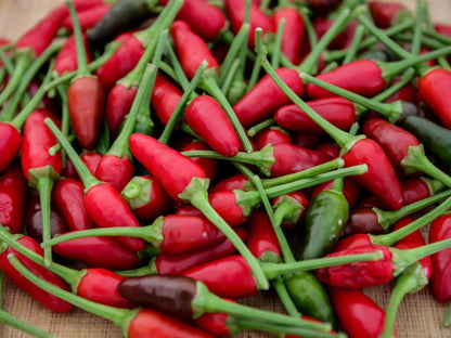 Bird’s Eye Pepper Seeds: Sizzling Flavor to Heat Up Your Recipes