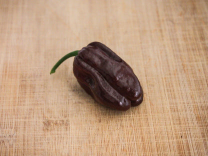 Chocolate Habanero Pepper Seeds: Unlocking the Fiery Flavor