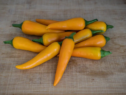 Bulgarian Carrot Pepper Seeds: Brighten Your Garden and Plate