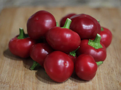 Calabrian Calabrese Pepper Seeds: Unlock Authentic Italian Flavor