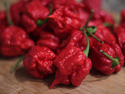 Carolina Reaper Pepper Seeds: Grow the World's Hottest Peppers