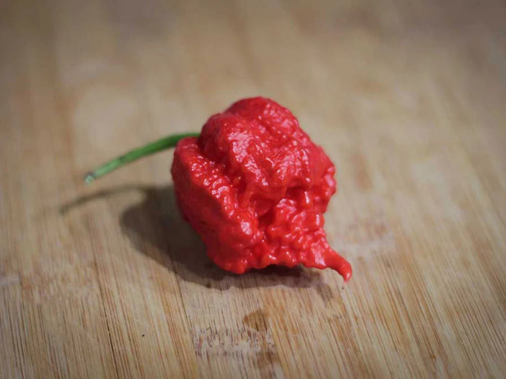 Carolina Reaper Pepper Seeds: Grow the World's Hottest Peppers