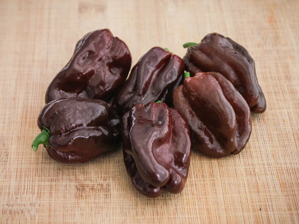 Chocolate Habanero Pepper Seeds: Unlocking the Fiery Flavor