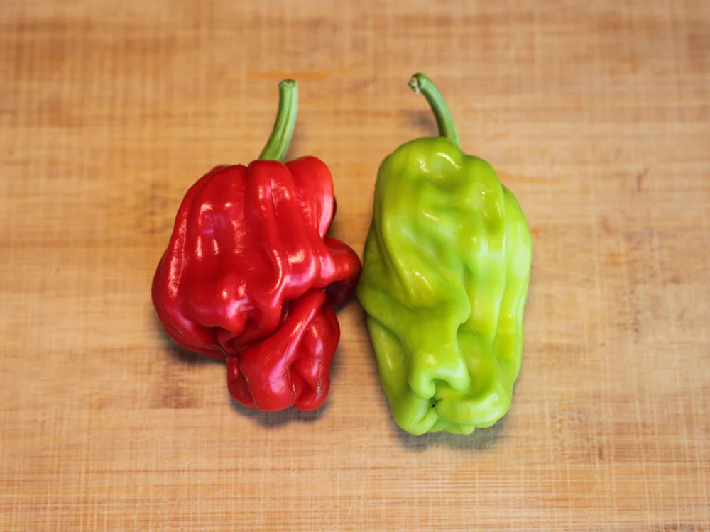 Dragon Toe Pepper Seeds: Unveil the Magic in Your Garden