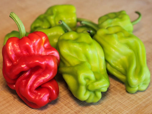 Dragon Toe Pepper Seeds: Unveil the Magic in Your Garden