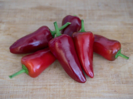 Fresno Pepper Seeds: The Ideal Balance of Heat and Flavor