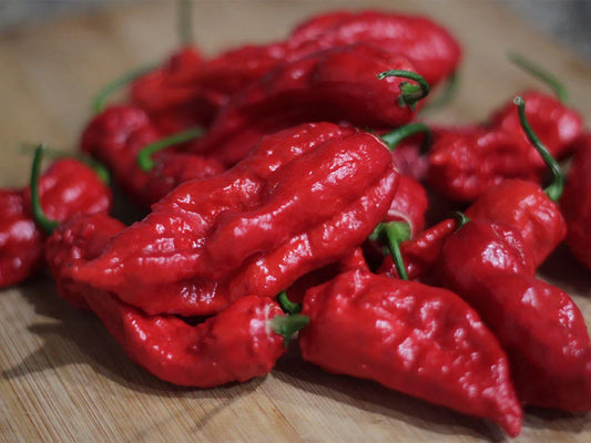 Ghost Pepper Seeds (Bhut Jolokia): Culinary Fire