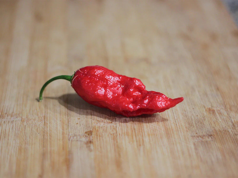 Ghost Pepper Seeds (Bhut Jolokia): Culinary Fire