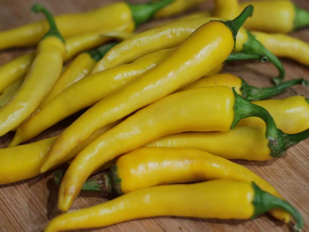 Golden Cayenne Pepper Seeds: Spice Meets Color