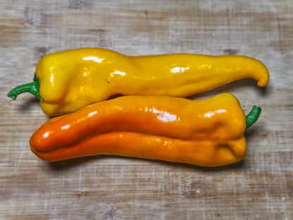 Golden Treasure Pepper Seeds: Sweet Italian Frying Pepper