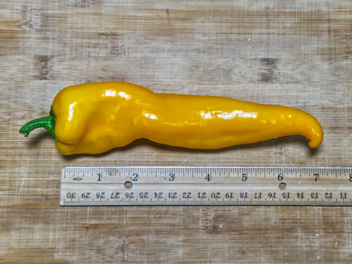 Golden Treasure Pepper Seeds: Sweet Italian Frying Pepper