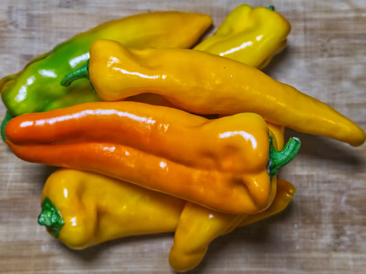 Golden Treasure Pepper Seeds: Sweet Italian Frying Pepper