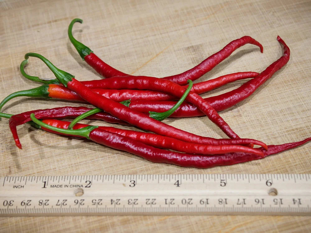 Gong Bao Pepper Seeds: Secret to Sichuan Cooking