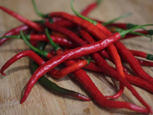 Gong Bao Pepper Seeds: Secret to Sichuan Cooking