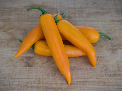 Large Orange Thai Pepper Seeds: Blend of Sweet and Spicy