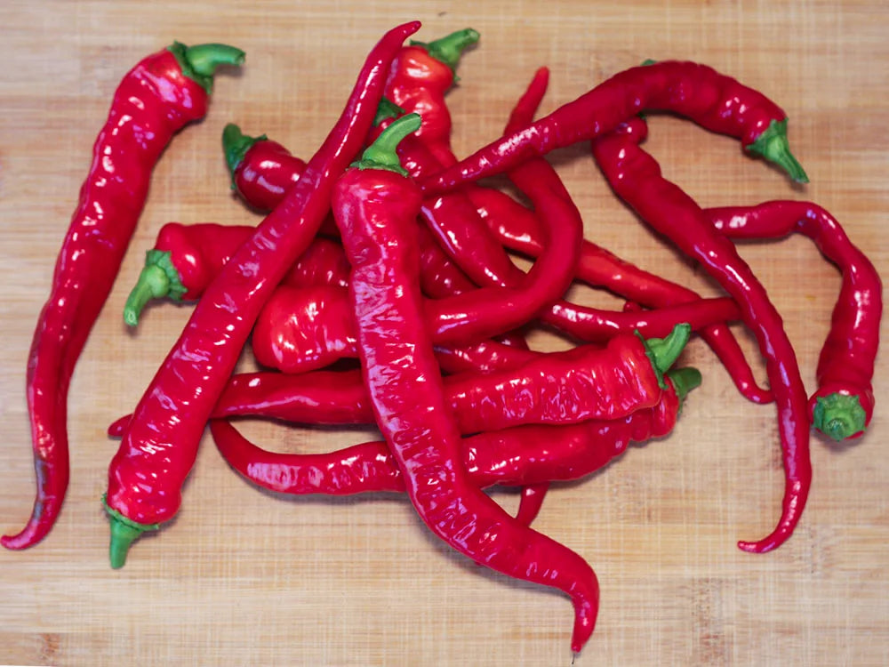 Maule's Red-Hot Pepper Seeds: From Garden to Gourmet Dish