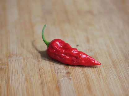 Naga Morich Pepper Seeds: Not for the Faint-Hearted