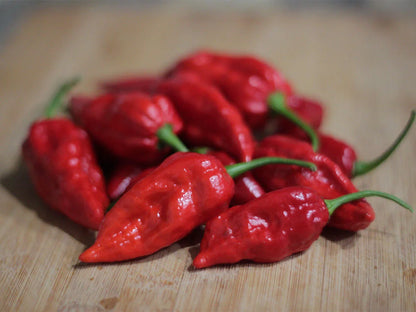 Naga Morich Pepper Seeds: Not for the Faint-Hearted