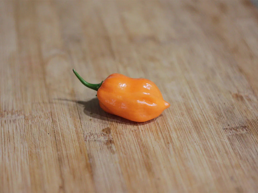 Orange Habanero Pepper Seeds:  Heat Meets Flavor