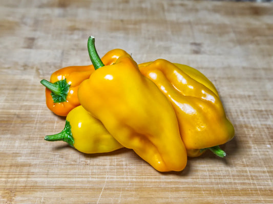 Petit Marseillais Pepper Seeds: A Taste of the French Sun