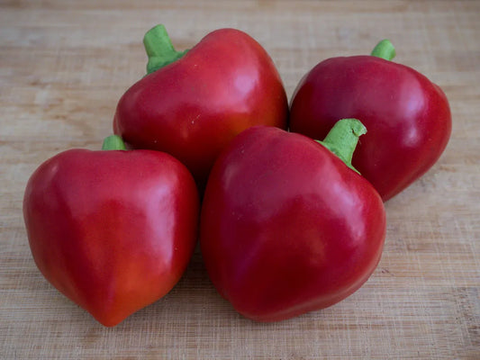 Pimento L Pepper Seeds: Versatility and Flavor Combined