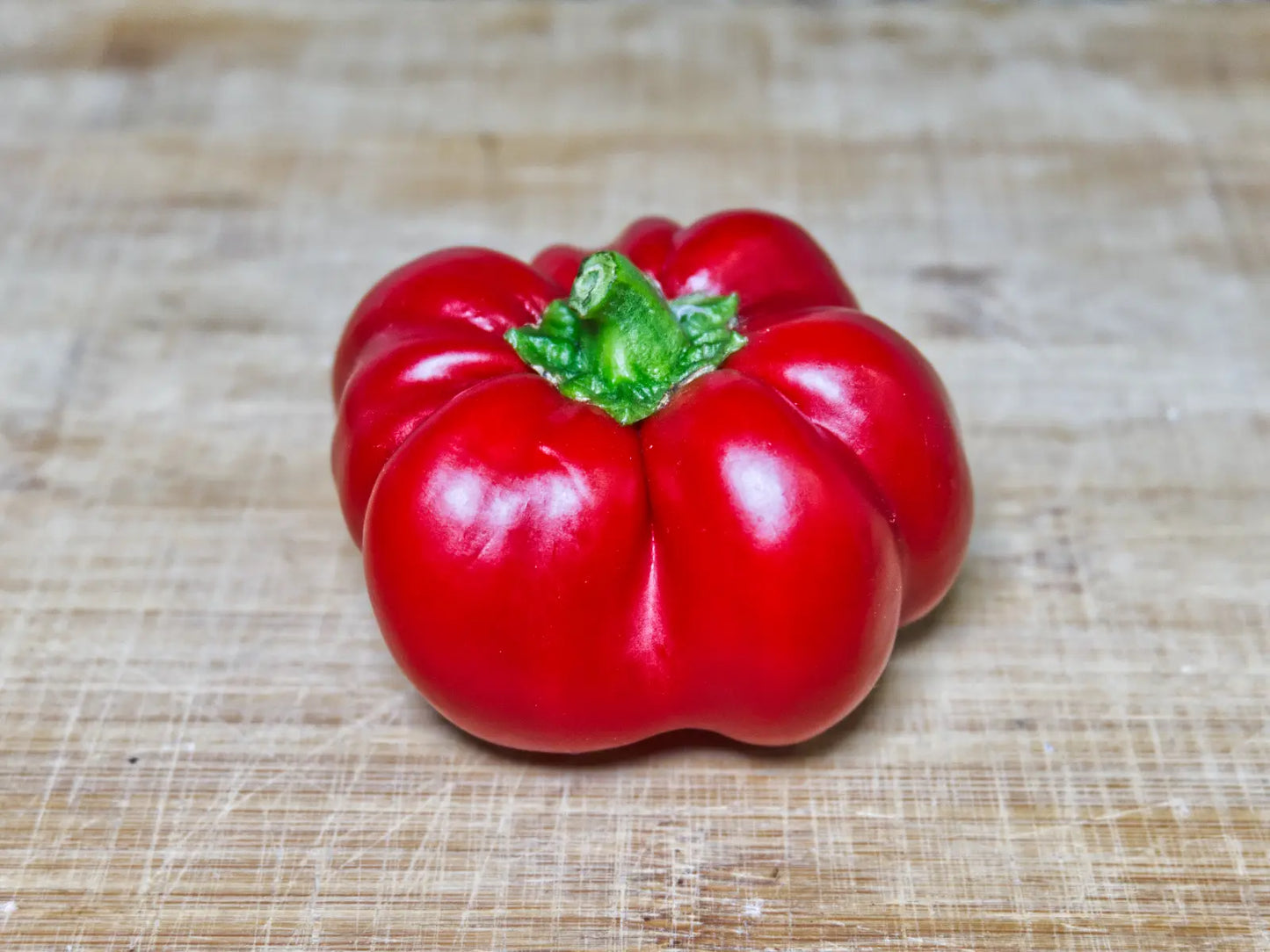 Ralph Thompson's Squash Pepper Seeds: The Heirloom UFO
