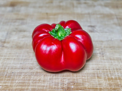 Ralph Thompson's Squash Pepper Seeds: The Heirloom UFO