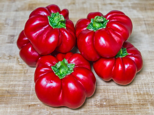 Ralph Thompson's Squash Pepper Seeds: The Heirloom UFO