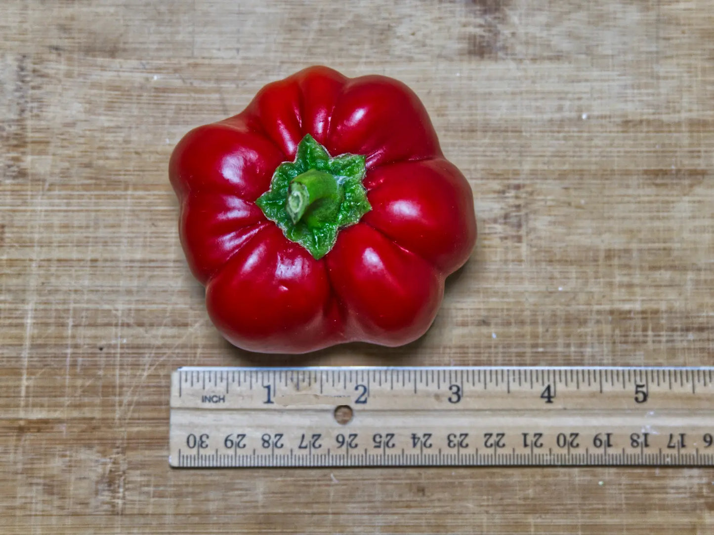 Ralph Thompson's Squash Pepper Seeds: The Heirloom UFO